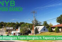 Digital Dialogues Topix Dongola IL Tapestry Unveiled