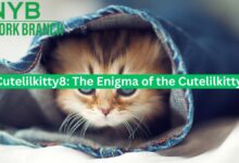 Cutelilkitty8: The Enigma of the Cutelilkitty8