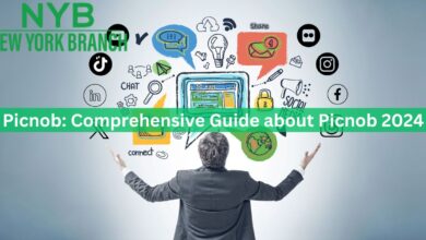 Picnob: Comprehensive Guide about Picnob 2024