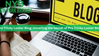 Pro Tricky Looter Blog: Unveiling the Secret of Pro Tricky Looter Blog