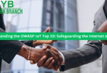 Understanding the OWASP IoT Top 10: Safeguarding the Internet of Things