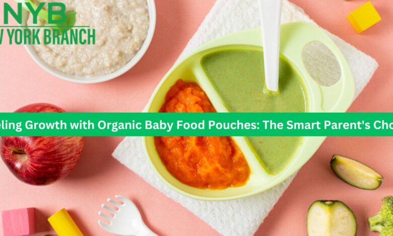 Fueling Growth with Organic Baby Food Pouches: The Smart Parent's Choice