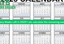 How Many Weeks Left in 2023? Lets calculate the remaining week 2023
