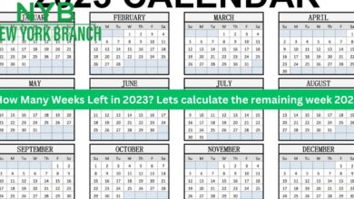 How Many Weeks Left in 2023? Lets calculate the remaining week 2023