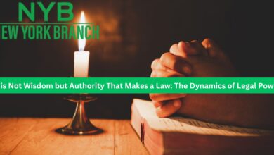 It is Not Wisdom but Authority That Makes a Law: The Dynamics of Legal Power