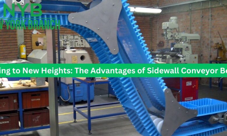 Rising to New Heights: The Advantages of Sidewall Conveyor Belts