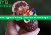 5 Different Types of Kidney Diseases & How to Begin Treating