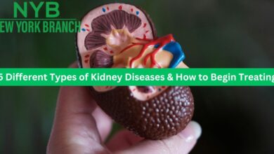 5 Different Types of Kidney Diseases & How to Begin Treating