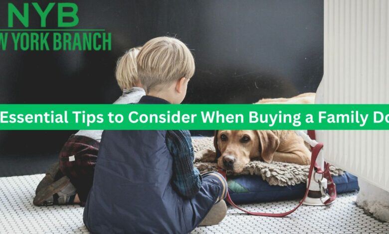 5 Essential Tips to Consider When Buying a Family Dog