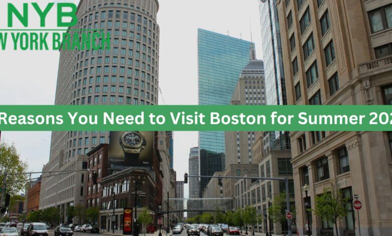 5 Reasons You Need to Visit Boston for Summer 2024